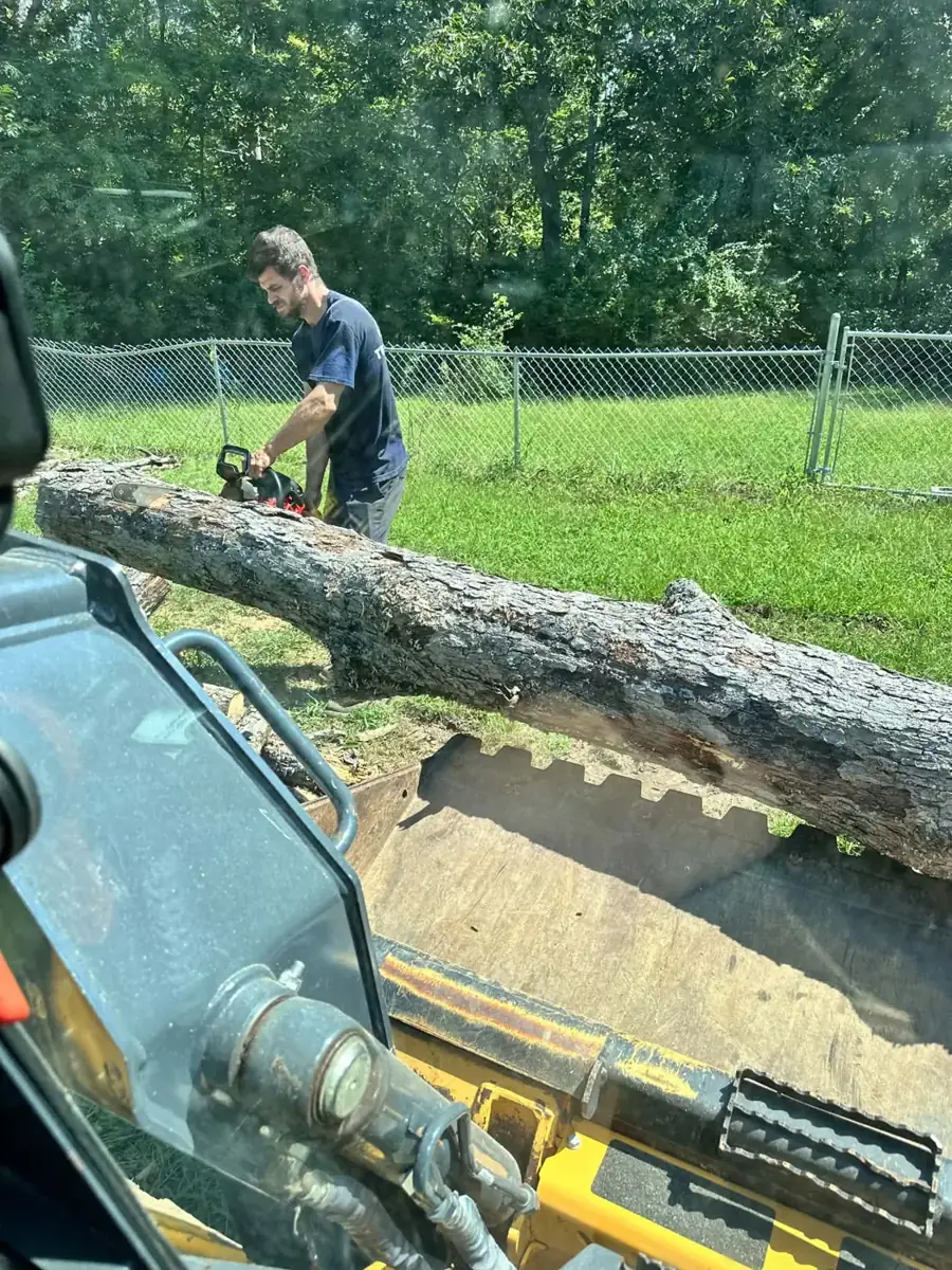 Cutting a downed tree with a chainsaw
