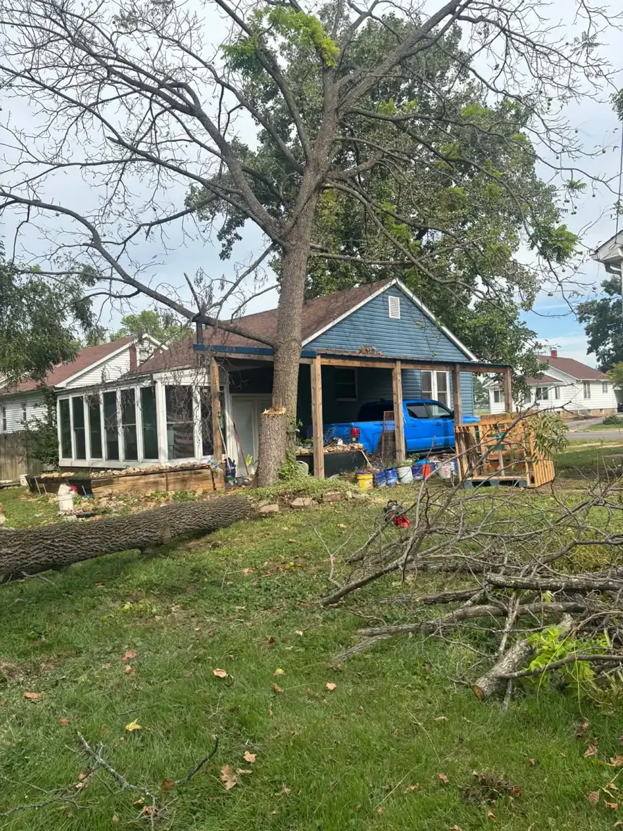 Fallen tree cleanup beside a home