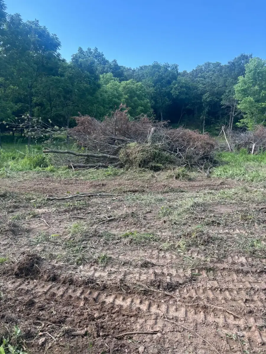 Cleared field with brush pile